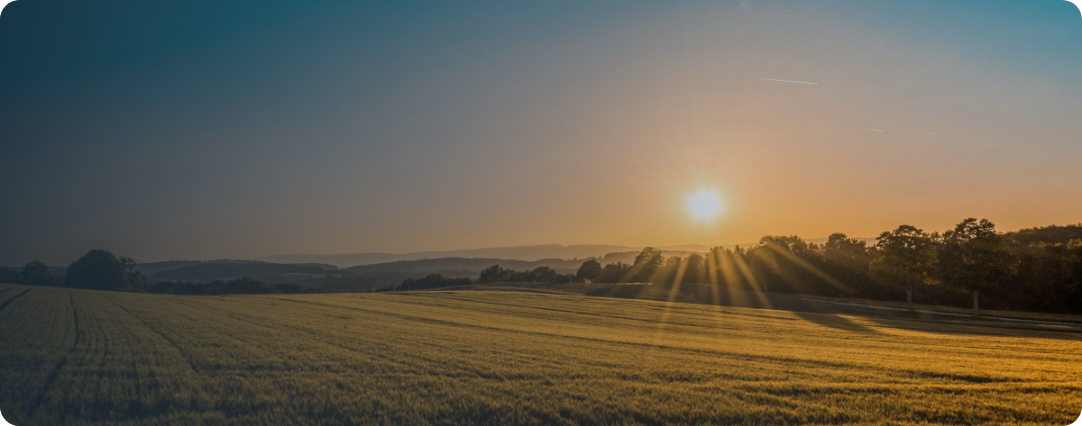 Sunset landscape background